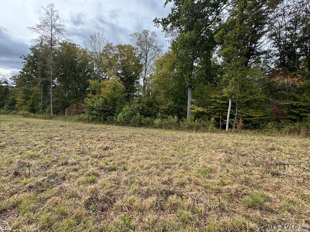 Acreage at 468 Marrow Lane, Oxford NC 27565, photo 24 of 25
