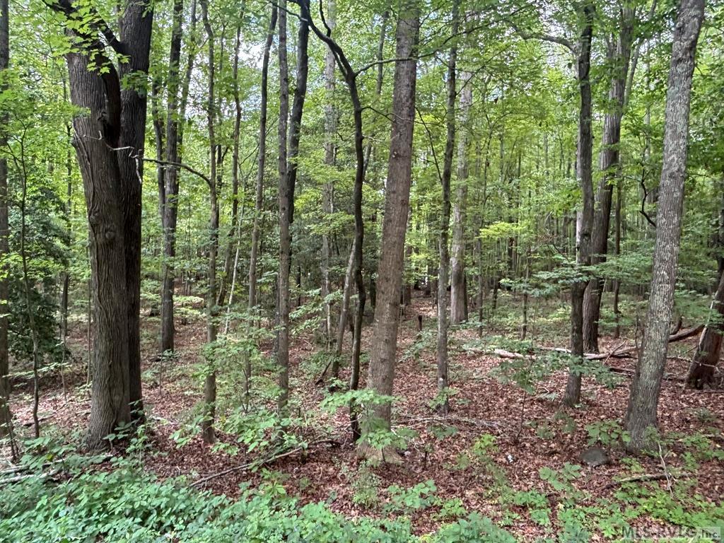 Residential Lot-Unrestricted at Lot # 10 Deep Creek Hills ( Highway 158), Littleton NC 27850, photo 3 of 8