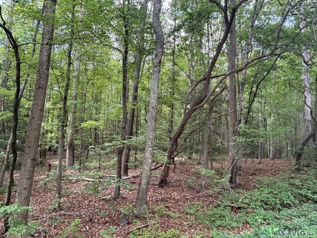 Residential Lot-Unrestricted at Lot # 10 Deep Creek Hills ( Highway 158), Littleton NC 27850, photo 4 of 8