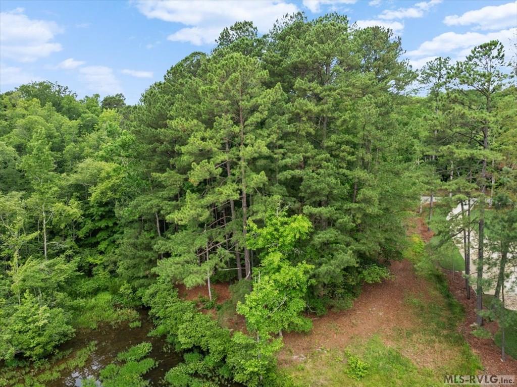 Acreage at Lot 19 Woodlandhurst Road, Littleton NC 27850, photo 4 of 10