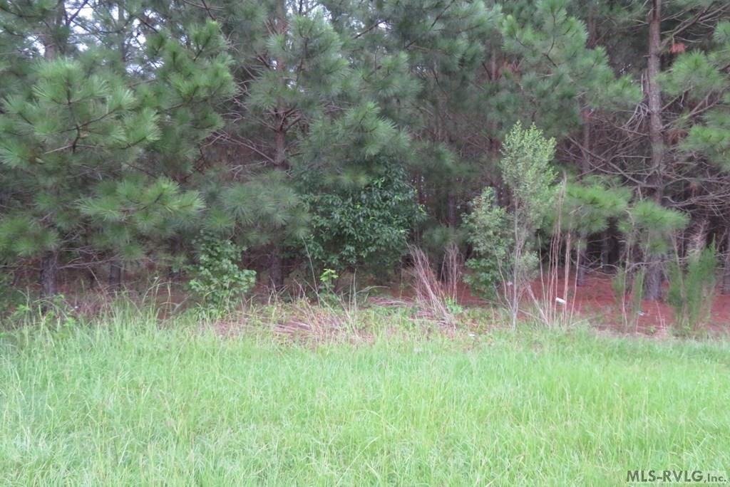 Commercial at Lot 9 Carolina Crossroads Pkwy, Roanoke Rapids NC 27870, photo 3 of 8