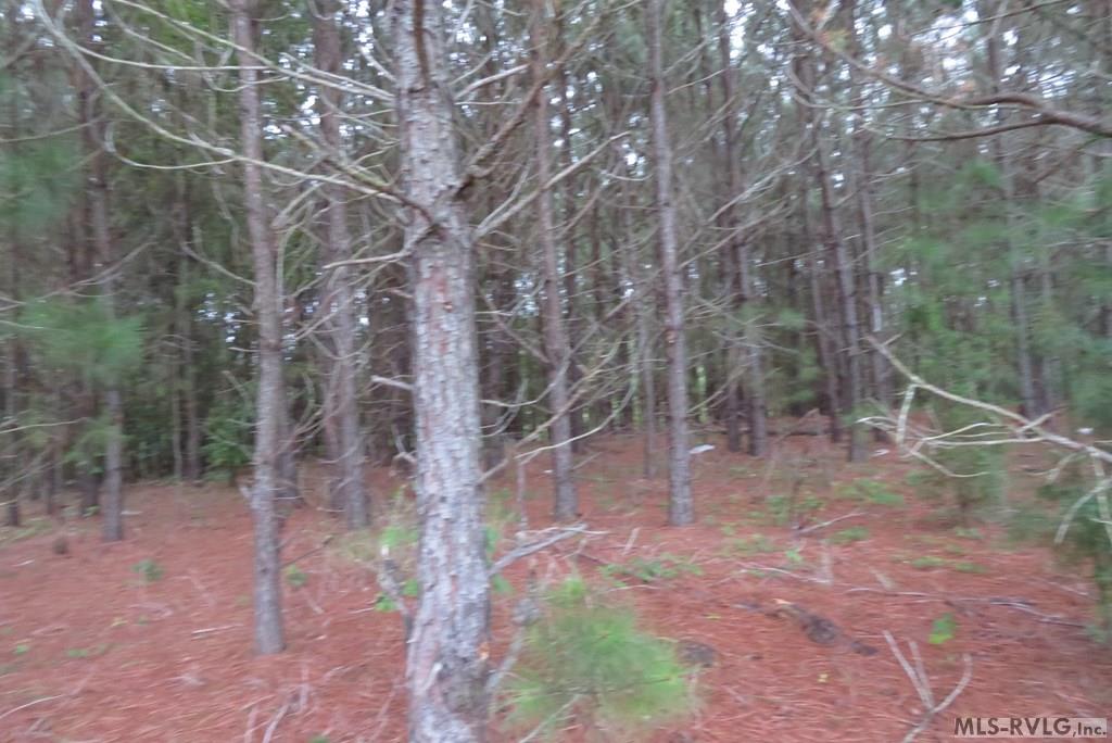 Commercial at Lot 9 Carolina Crossroads Pkwy, Roanoke Rapids NC 27870, photo 4 of 8