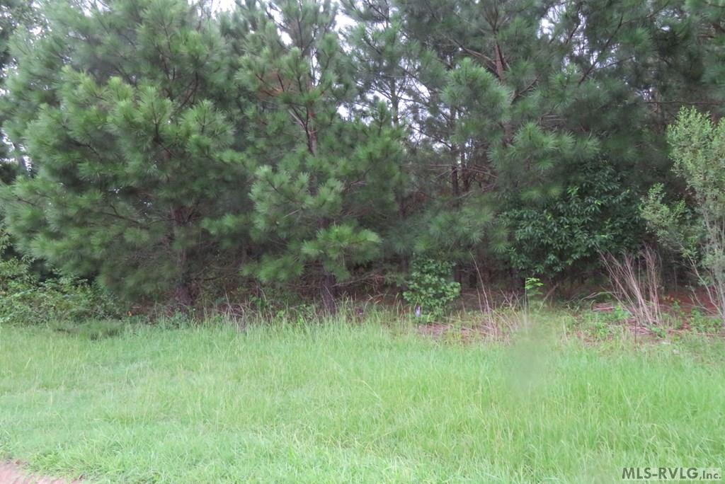 Commercial at Lot 9 Carolina Crossroads Pkwy, Roanoke Rapids NC 27870, photo 7 of 8