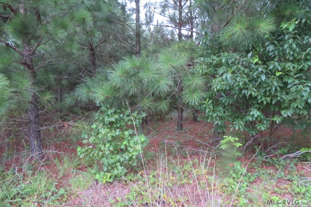 Commercial at Lot 9 Carolina Crossroads Pkwy, Roanoke Rapids NC 27870, photo 8 of 8
