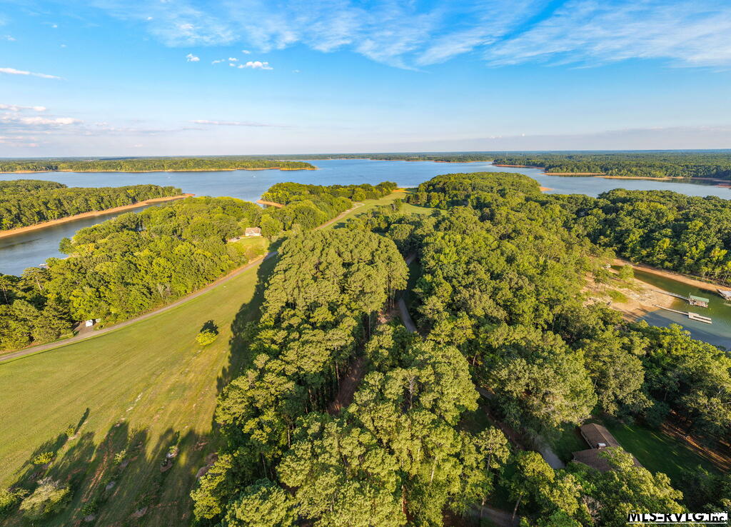 Airstrip - 1683 Merifield Dr, Clarksville VA 23927
