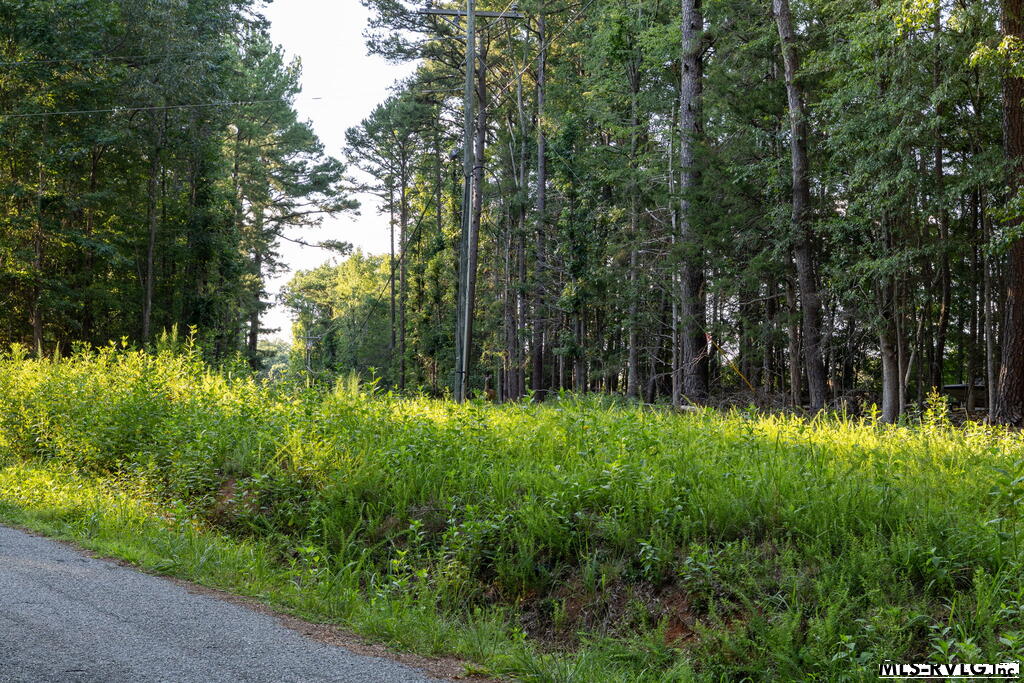 Residential Lot-Restricted at 1683 Merifield Dr, Clarksville VA 23927, photo 3 of 67