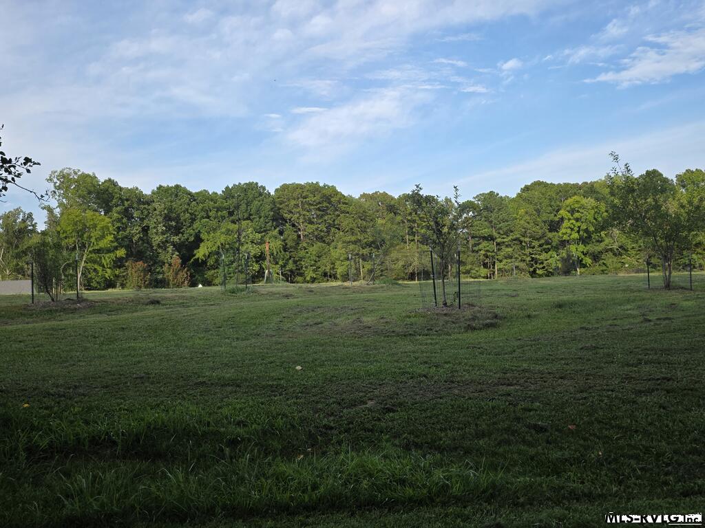 Community Green Space - 1683 Merifield Dr, Clarksville VA 23927