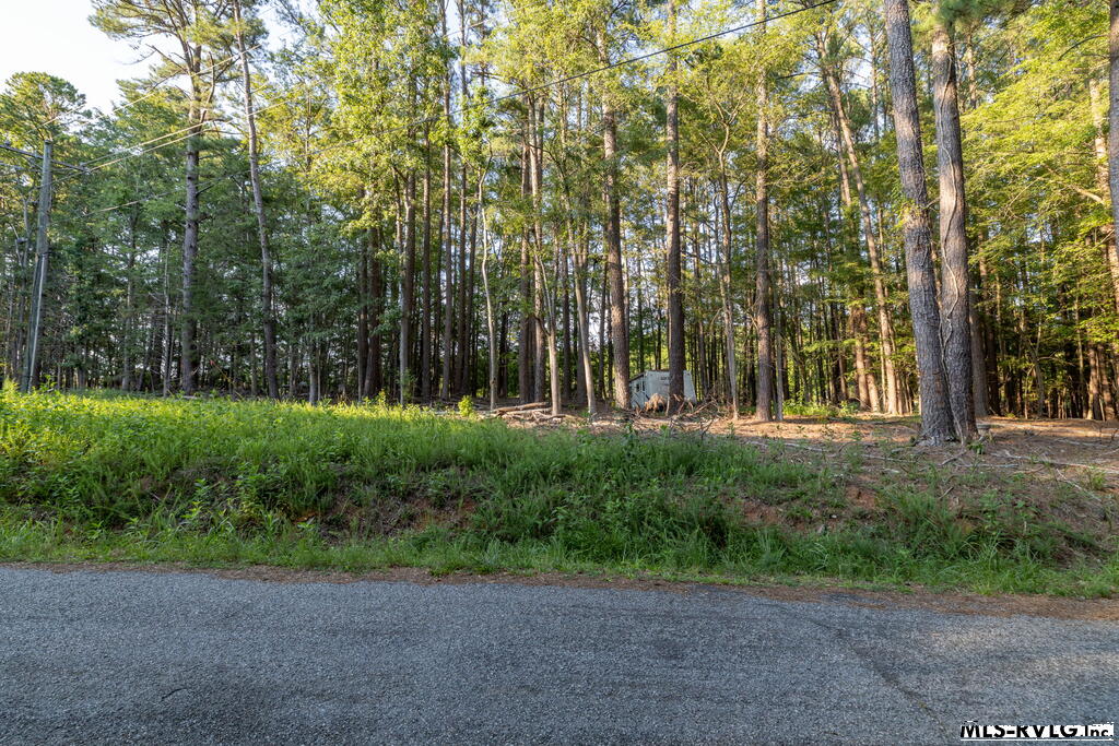 Residential Lot-Restricted at 1683 Merifield Dr, Clarksville VA 23927, photo 4 of 67