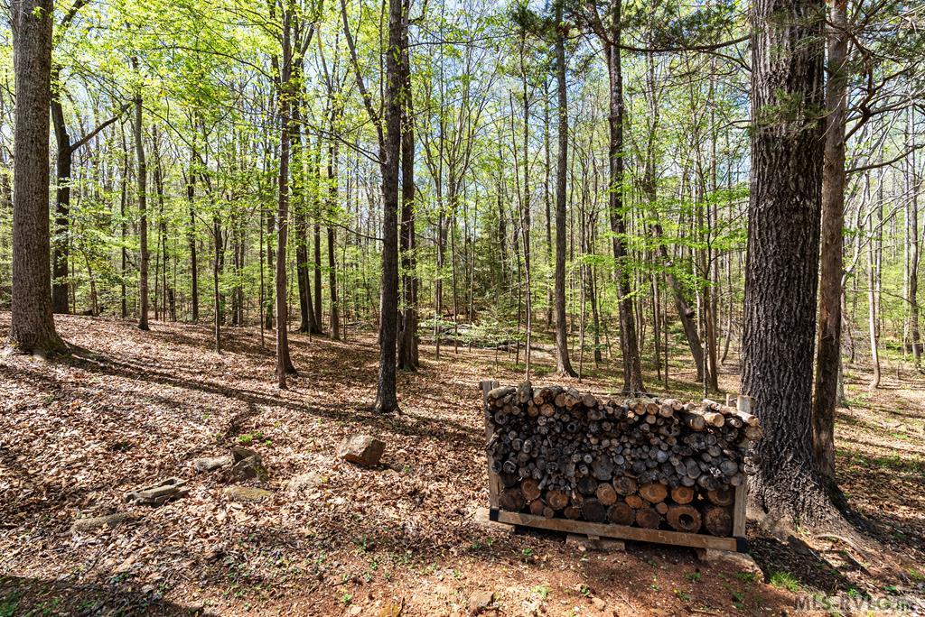 Residential/Vacation at 796 Tanglewood Drive, Bracey VA 23919, photo 58 of 105