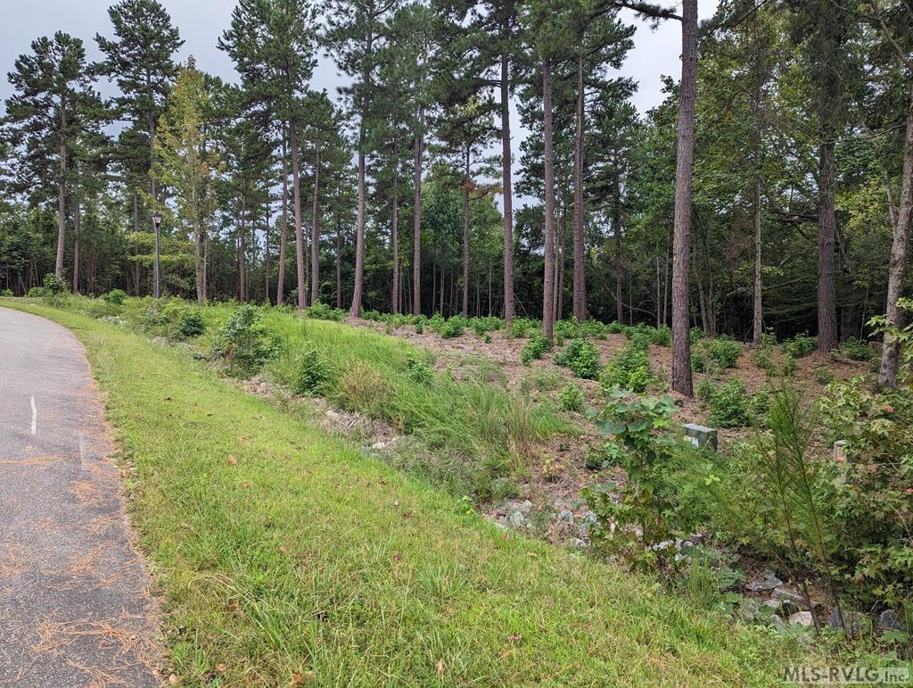 Residential Lot-Restricted at Lot 19 Grace Stone Drive, Clarksville VA 23927, photo 5 of 21
