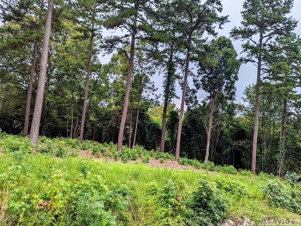 Residential Lot-Restricted at Lot 19 Grace Stone Drive, Clarksville VA 23927, photo 6 of 21