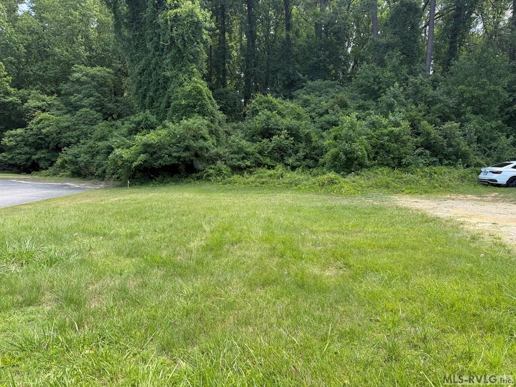 Commercial at 511 East Atlantic Street, South Hill VA 23970, photo 3 of 5