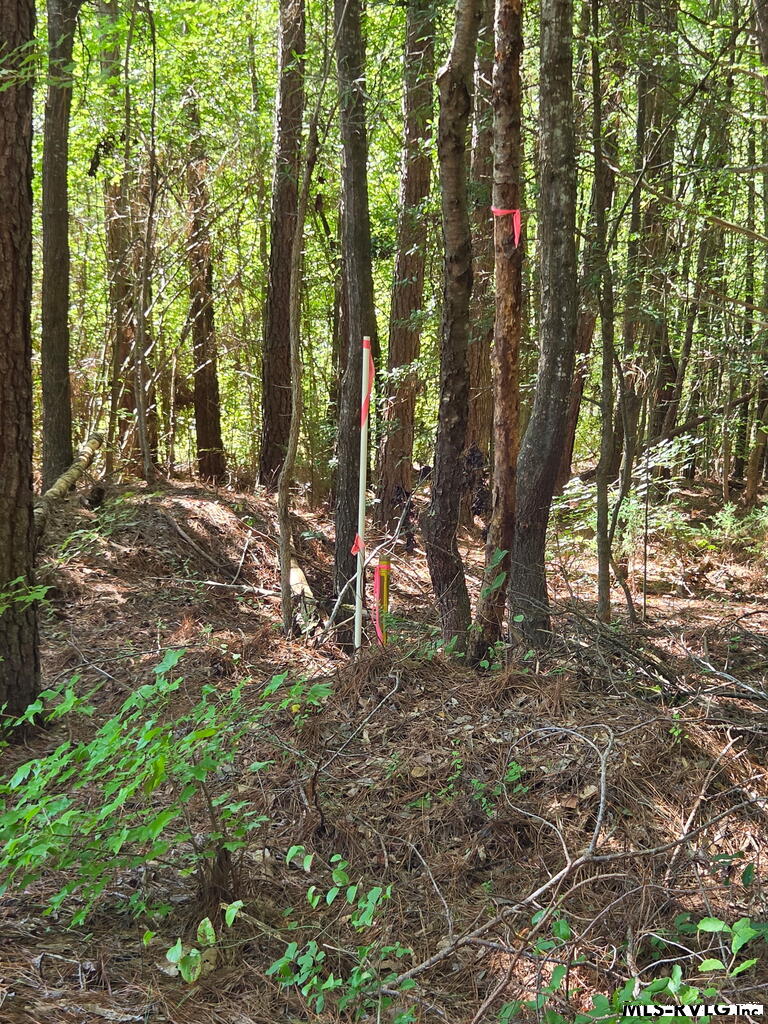 Residential Lot-Restricted at Lot # 11 Arbor Drive, Roanoke Rapids NC 27870, photo 10 of 11