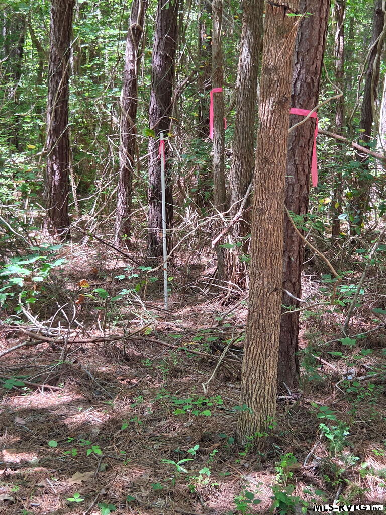 Residential Lot-Restricted at Lot # 11 Arbor Drive, Roanoke Rapids NC 27870, photo 9 of 11