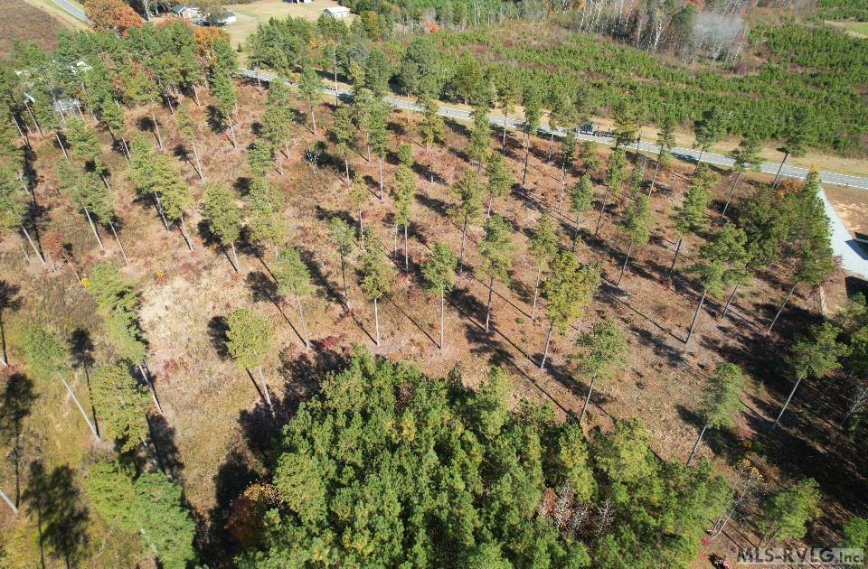 Residential Lot-Unrestricted at Lot 2 Christanna Hwy, Lawrenceville VA 23868, photo 5 of 6