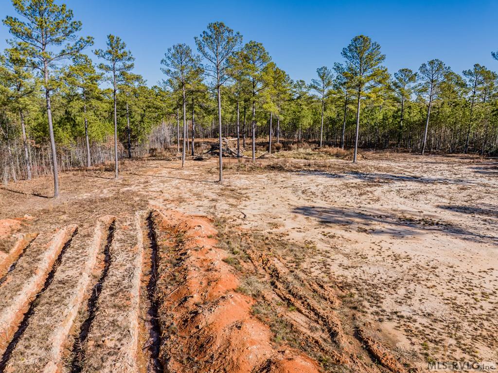 Septic area - 0 Champion Dr., Henrico NC 27845