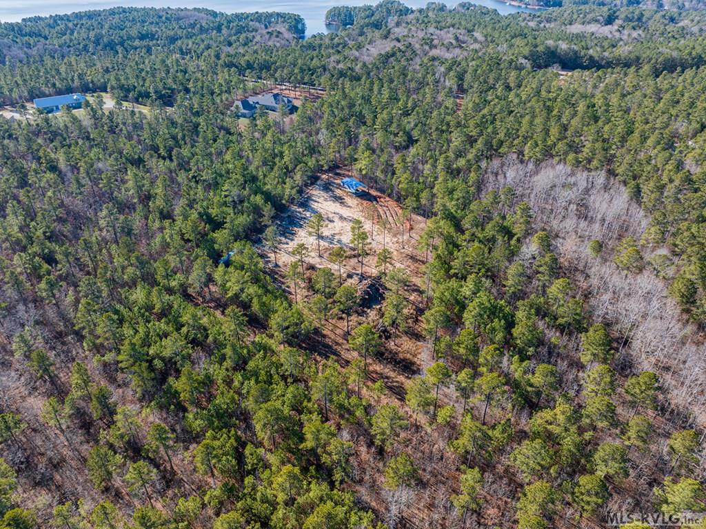Acreage at 0 Champion Dr., Henrico NC 27845, photo 12 of 61