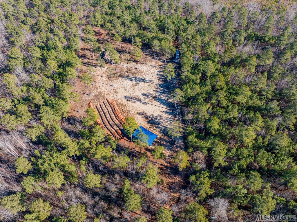 Acreage at 0 Champion Dr., Henrico NC 27845, photo 16 of 61