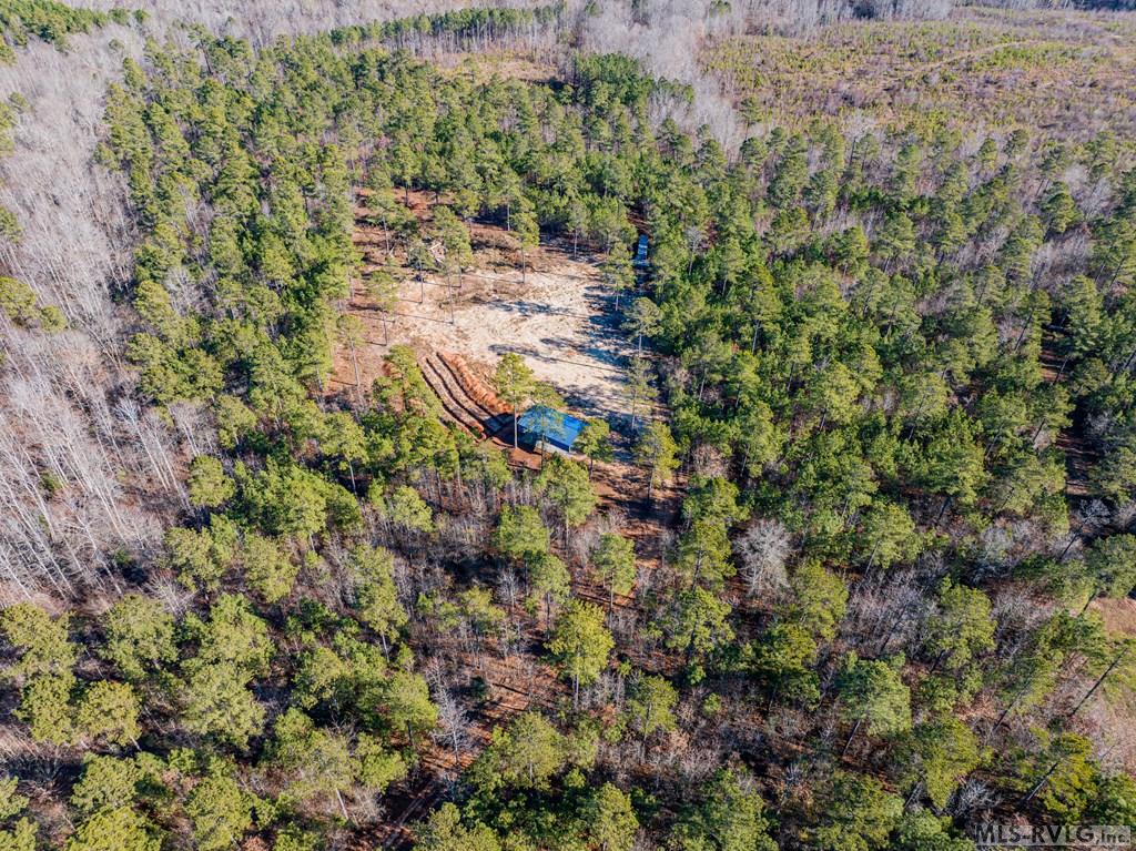 Acreage at 0 Champion Dr., Henrico NC 27845, photo 17 of 61