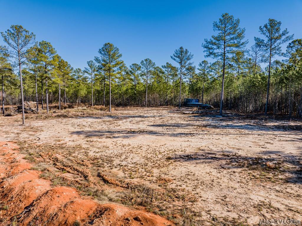 Acreage at 0 Champion Dr., Henrico NC 27845, photo 18 of 61