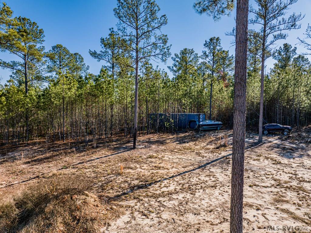 Acreage at 0 Champion Dr., Henrico NC 27845, photo 20 of 61
