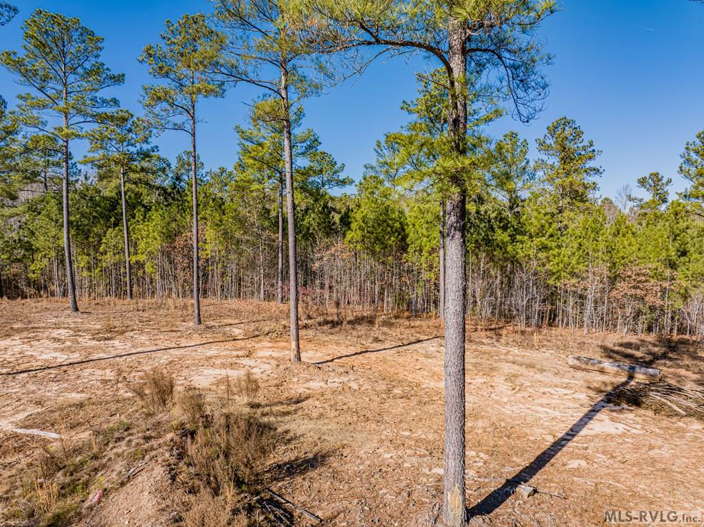 Acreage at 0 Champion Dr., Henrico NC 27845, photo 21 of 61