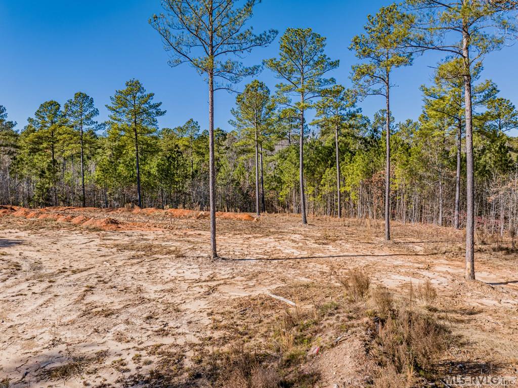 Acreage at 0 Champion Dr., Henrico NC 27845, photo 22 of 61