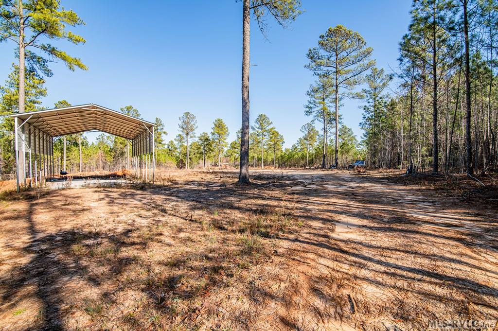 Acreage at 0 Champion Dr., Henrico NC 27845, photo 41 of 61