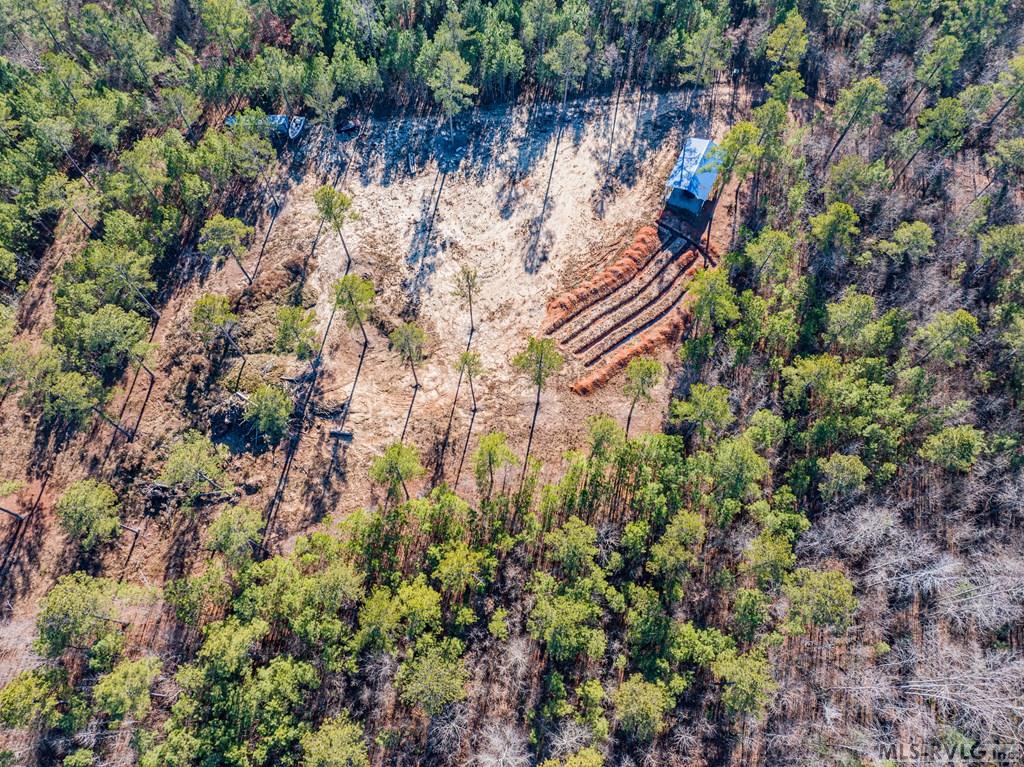 Acreage at 0 Champion Dr., Henrico NC 27845, photo 8 of 61