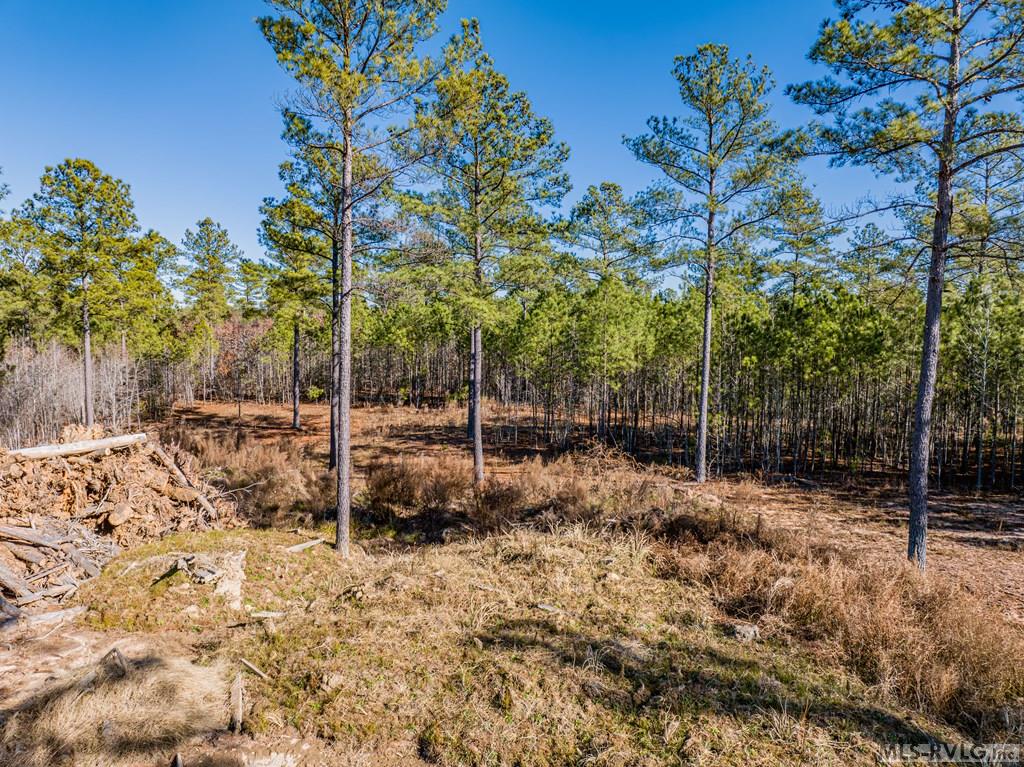 Acreage at 0 Champion Dr., Henrico NC 27845, photo 9 of 61