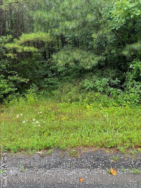 000 Lawrenceville Plank Rd, Lawrenceville VA 23868