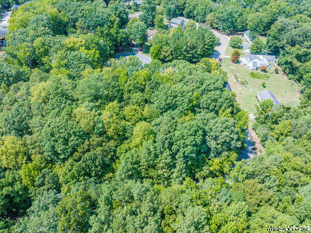 Residential Lot-Restricted at Lot 14C Downs Brook Dr, Roanoke Rapids NC 27870, photo 13 of 14