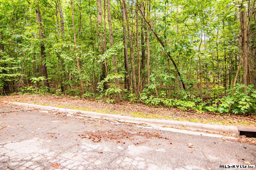 Residential Lot-Restricted at Lot 14C Downs Brook Dr, Roanoke Rapids NC 27870, photo 2 of 14