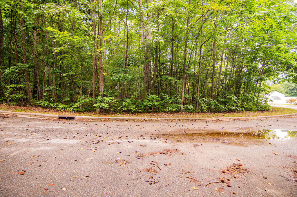 Residential Lot-Restricted at Lot 14C Downs Brook Dr, Roanoke Rapids NC 27870, photo 3 of 14