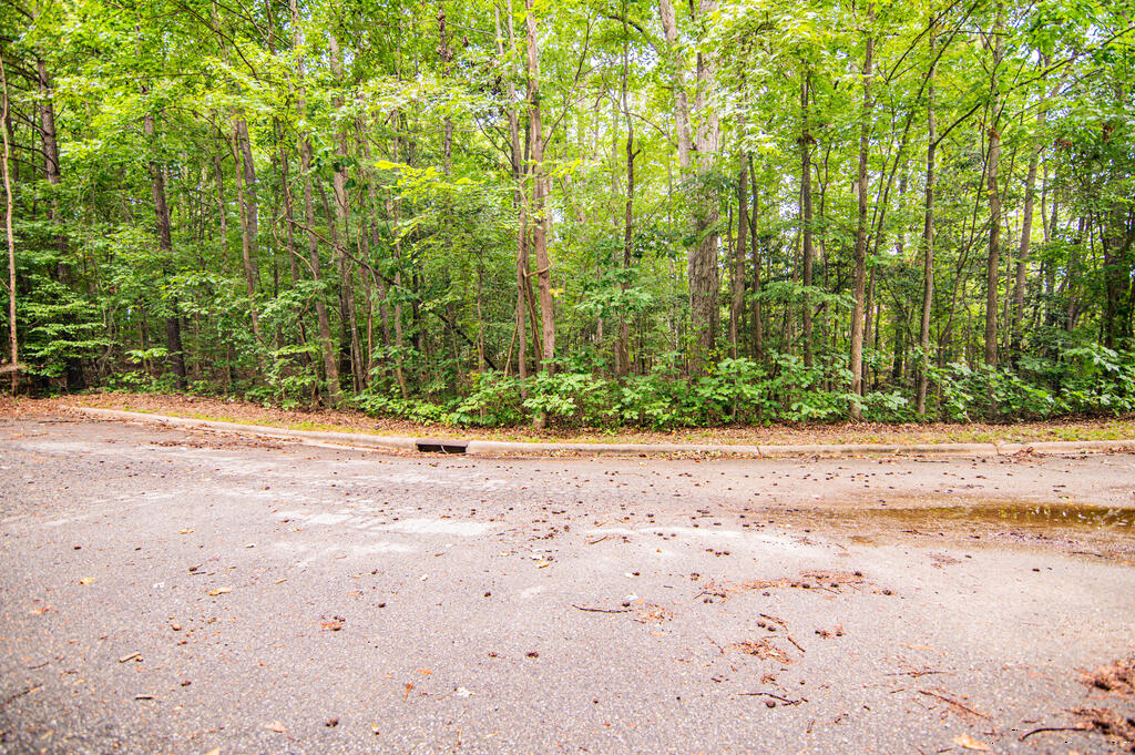 Residential Lot-Restricted at Lot 14C Downs Brook Dr, Roanoke Rapids NC 27870, photo 4 of 14