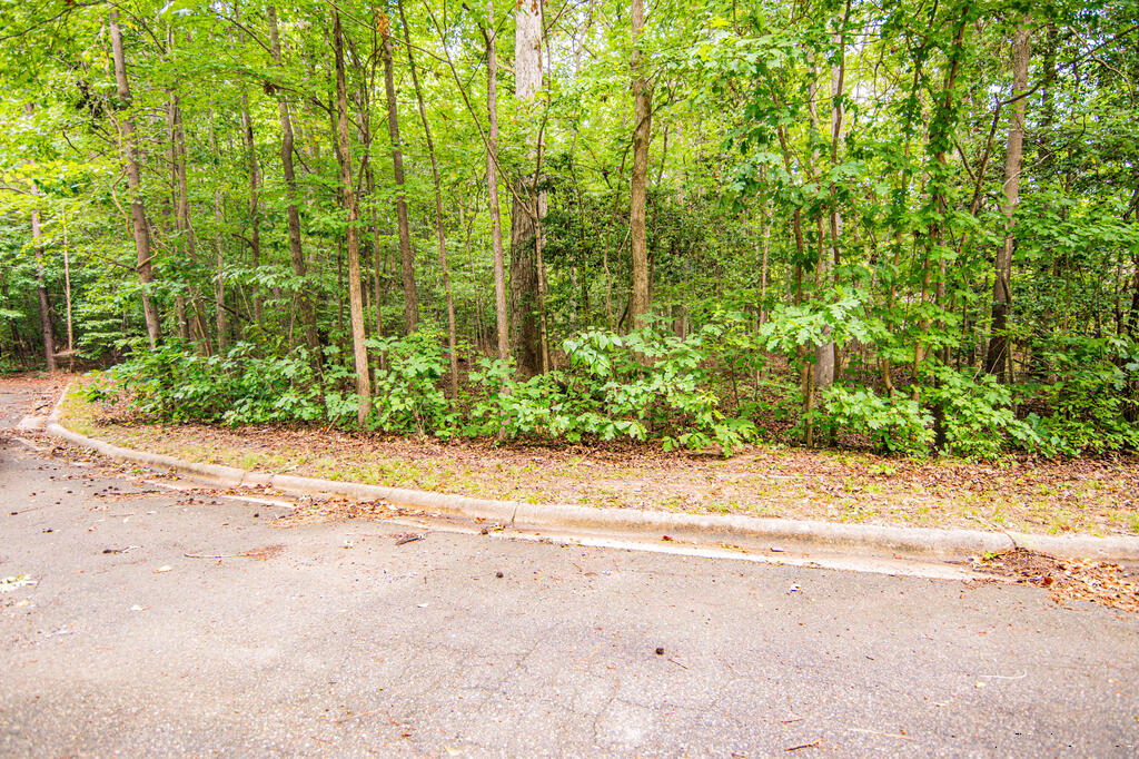 Residential Lot-Restricted at Lot 14C Downs Brook Dr, Roanoke Rapids NC 27870, photo 5 of 14