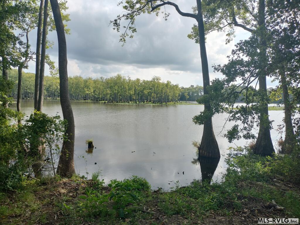 Main View - N/A Bellamy Lake Road, Enfield NC 27823
