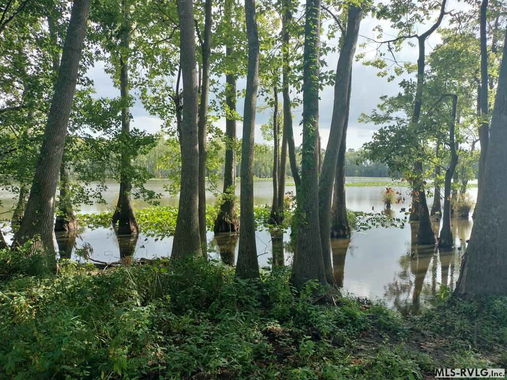 Acreage at N/A Bellamy Lake Road, Enfield NC 27823, photo 10 of 79