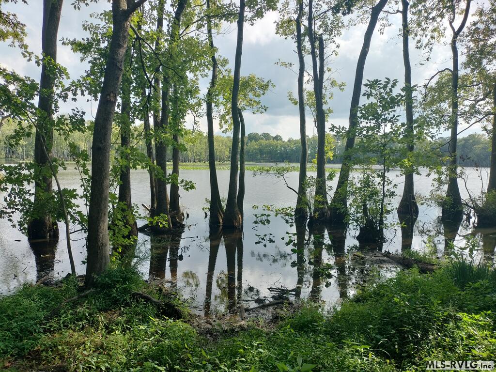 Acreage at N/A Bellamy Lake Road, Enfield NC 27823, photo 11 of 79