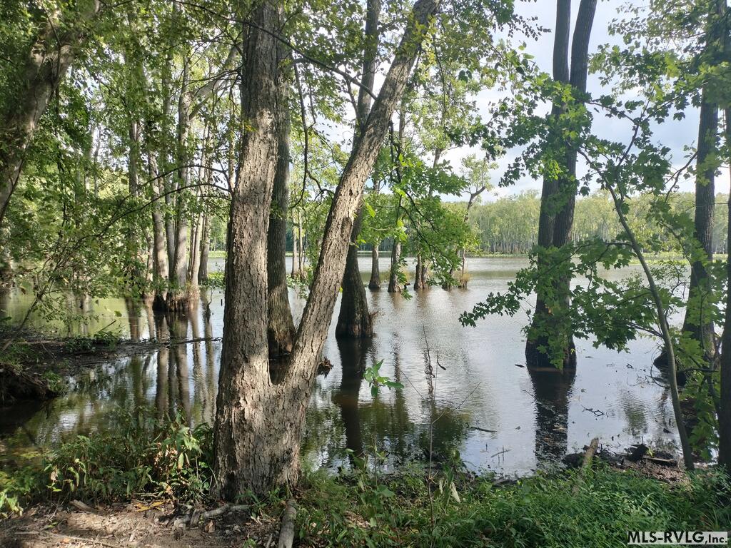Acreage at N/A Bellamy Lake Road, Enfield NC 27823, photo 12 of 79