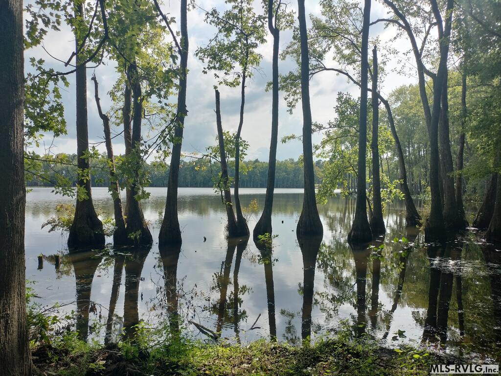 Acreage at N/A Bellamy Lake Road, Enfield NC 27823, photo 14 of 79
