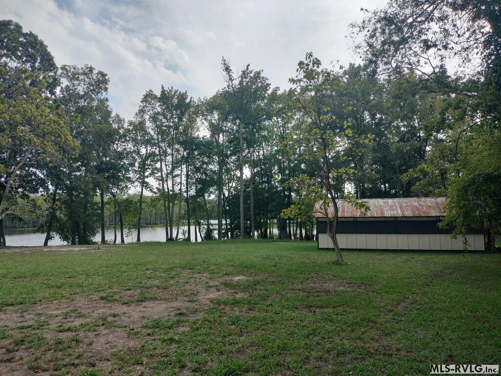 Acreage at N/A Bellamy Lake Road, Enfield NC 27823, photo 16 of 79