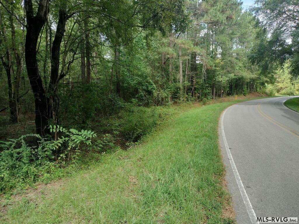 Acreage at N/A Bellamy Lake Road, Enfield NC 27823, photo 17 of 79