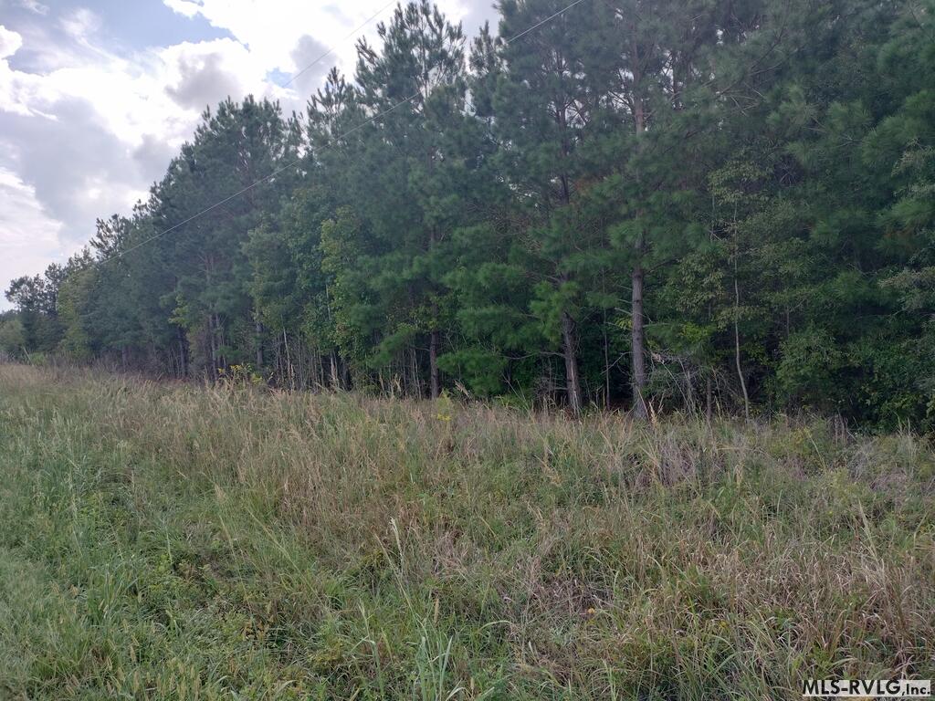 Acreage at N/A Bellamy Lake Road, Enfield NC 27823, photo 19 of 79