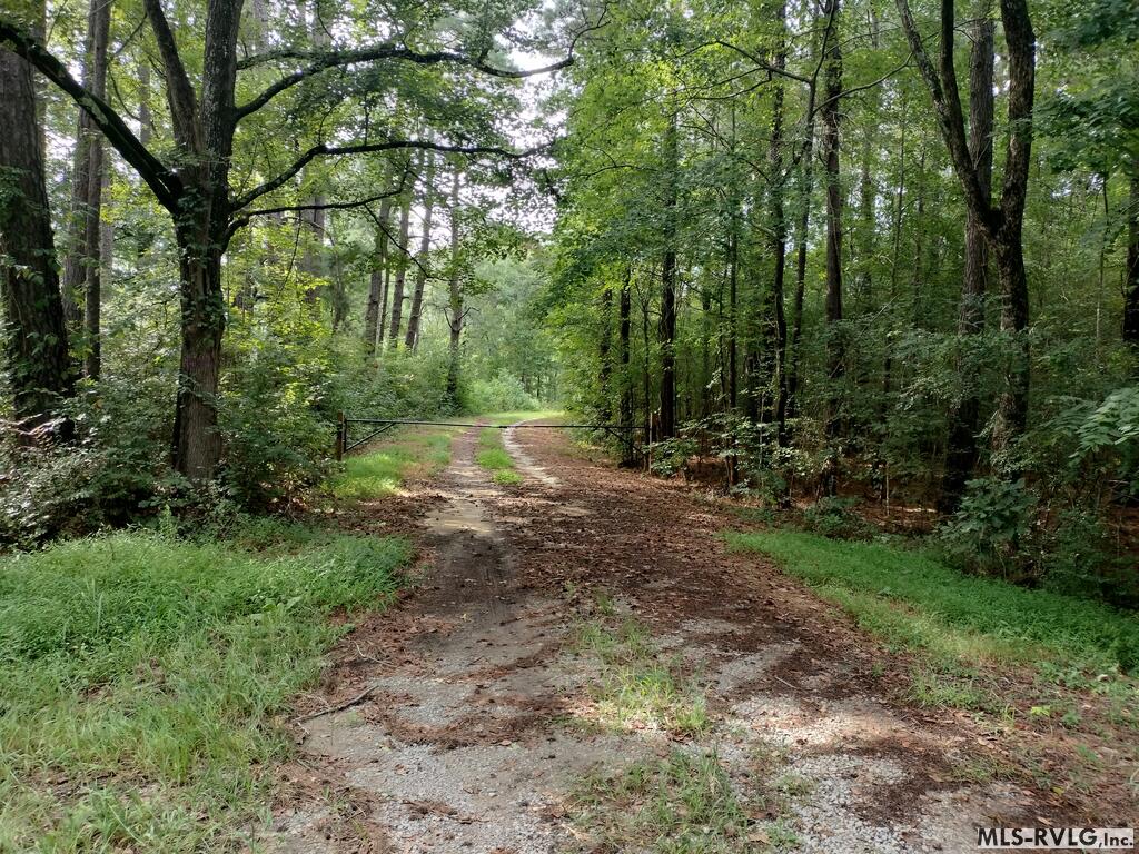 Acreage at N/A Bellamy Lake Road, Enfield NC 27823, photo 2 of 79