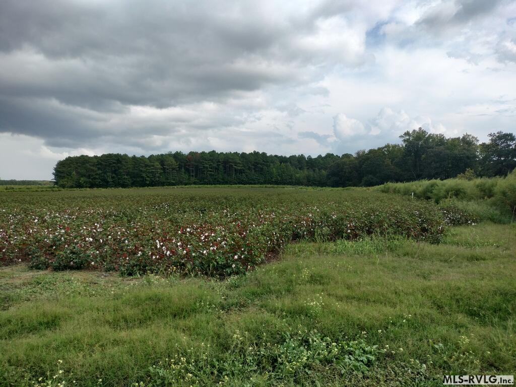 Acreage at N/A Bellamy Lake Road, Enfield NC 27823, photo 23 of 79