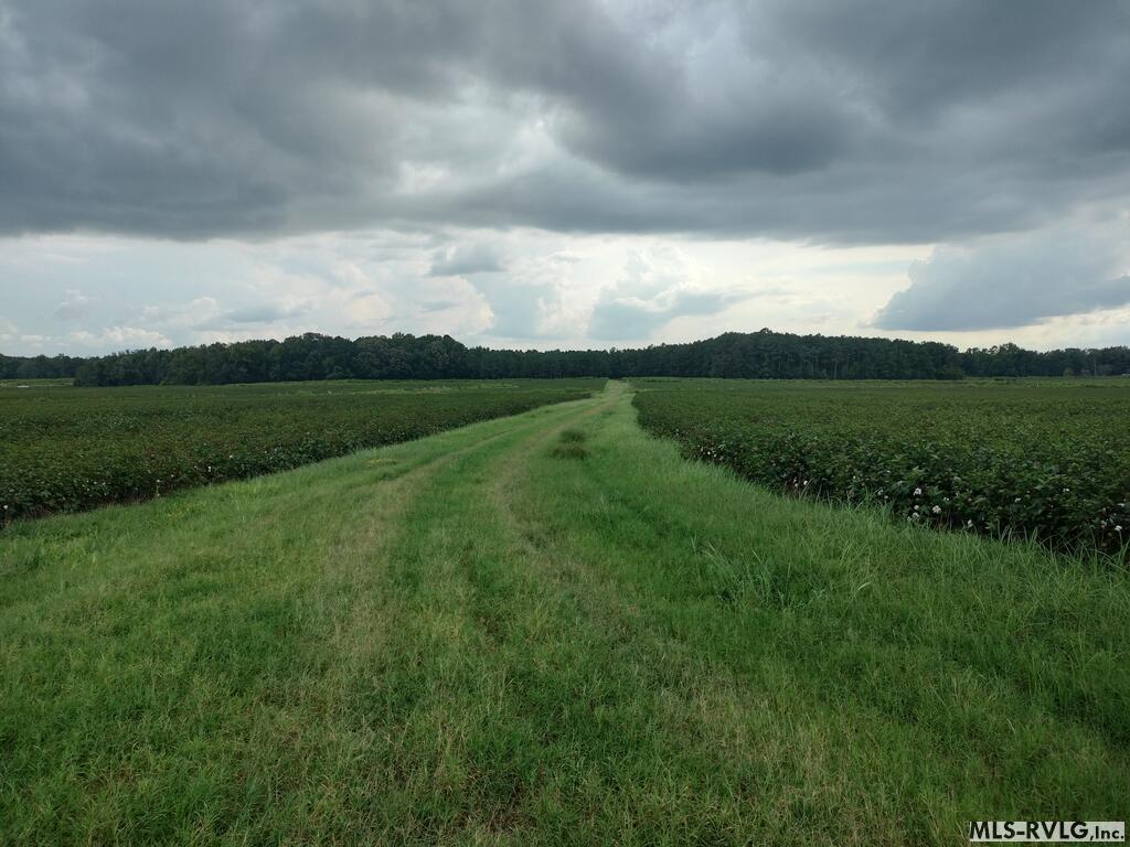 Acreage at N/A Bellamy Lake Road, Enfield NC 27823, photo 27 of 79