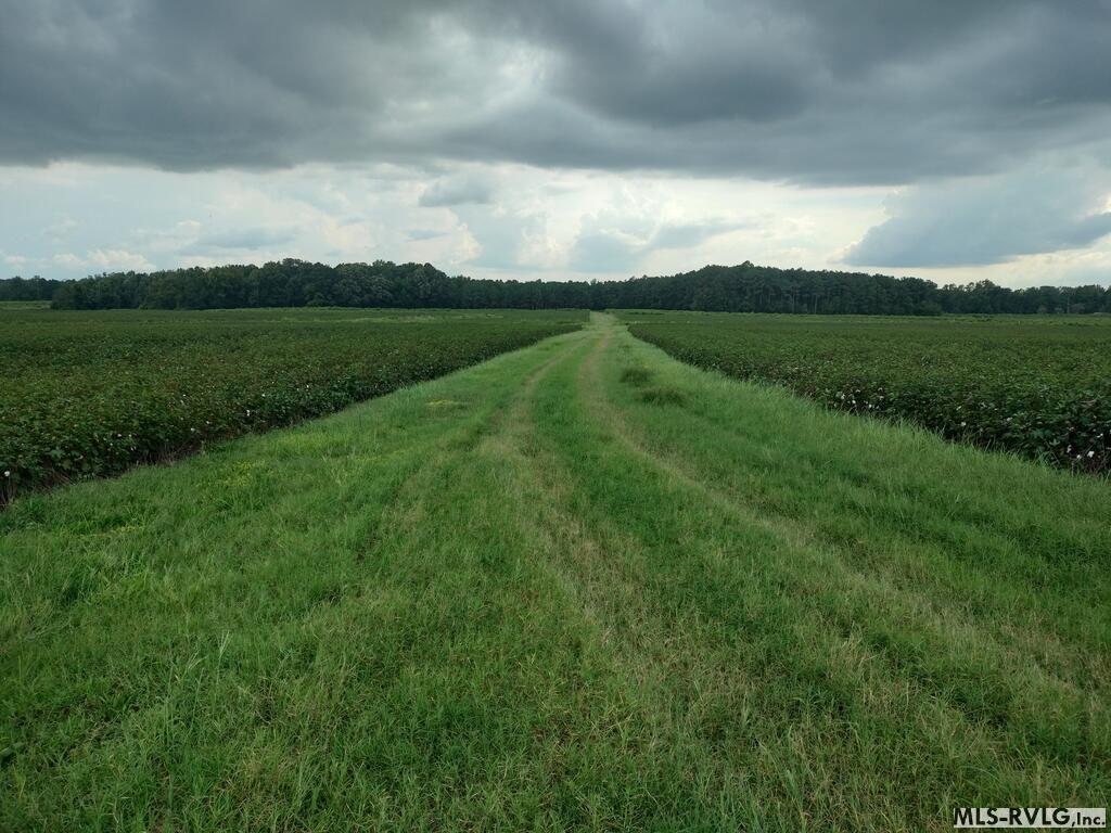 Acreage at N/A Bellamy Lake Road, Enfield NC 27823, photo 28 of 79