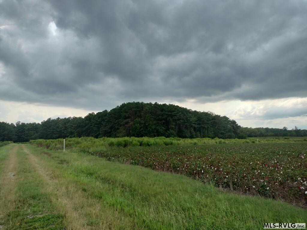 Acreage at N/A Bellamy Lake Road, Enfield NC 27823, photo 29 of 79