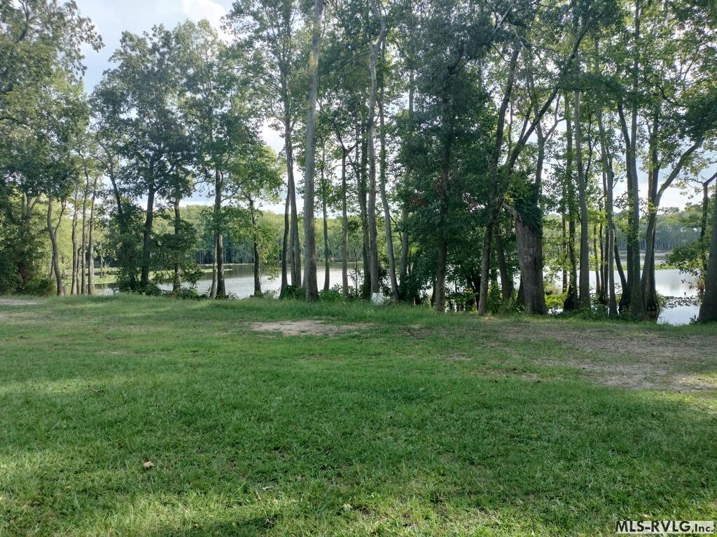 Acreage at N/A Bellamy Lake Road, Enfield NC 27823, photo 3 of 79